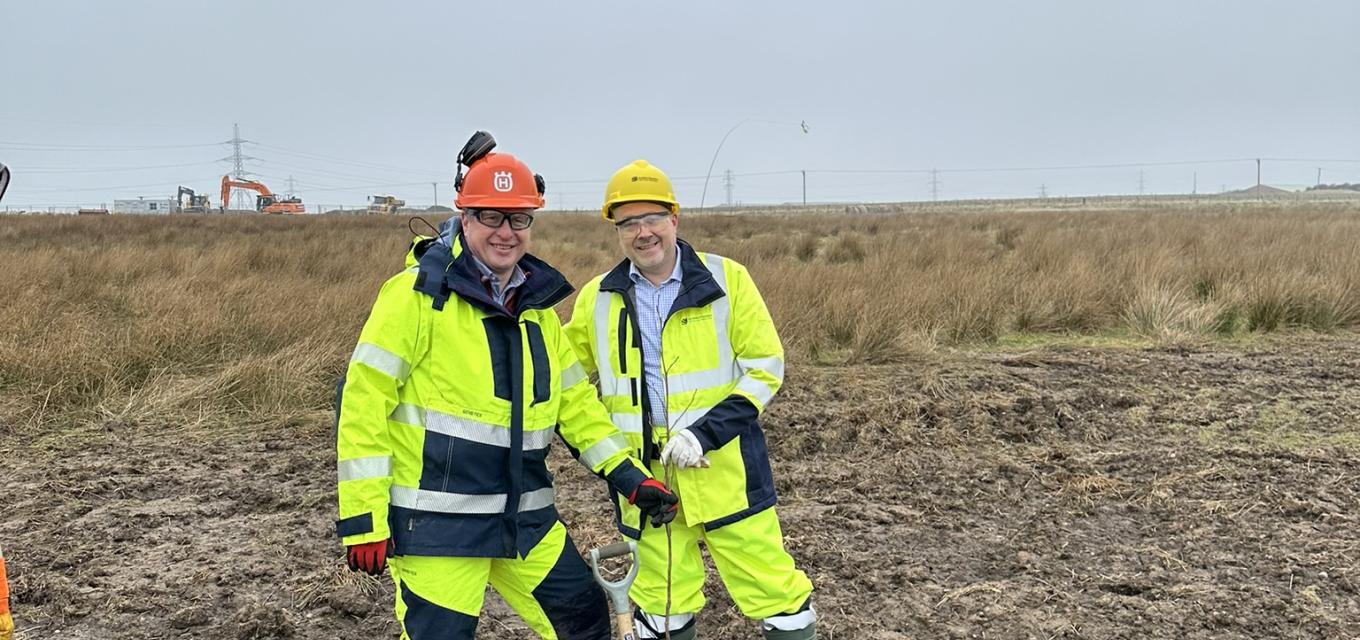 2 men planting trees