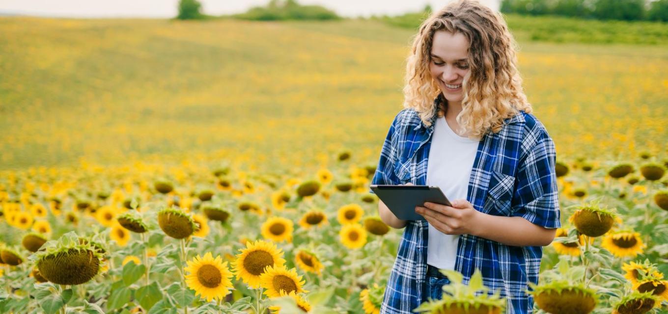 Woman walking through sunflower field